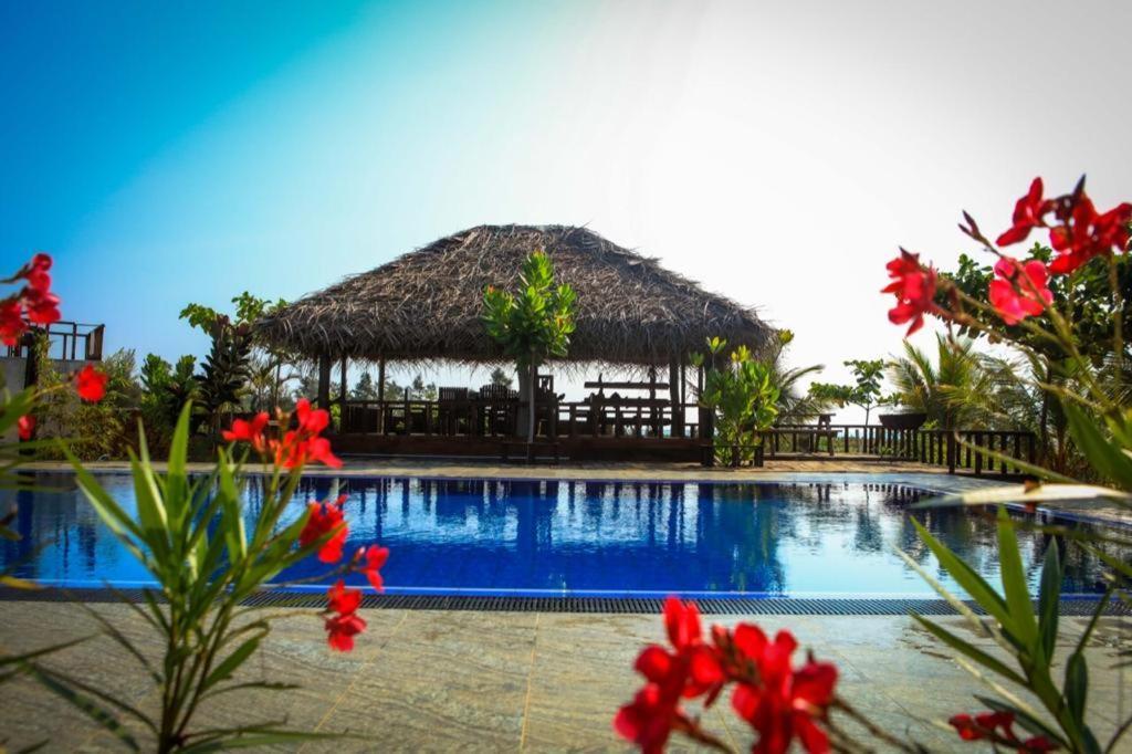 Whisky Point Surf Cabana Arugam Bay Exteriér fotografie